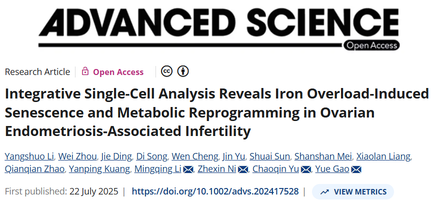 Integrative Single-Cell Analysis Reveals Iron Overload-Induced Senescence and Metabolic Reprogramming in Ovarian Endometriosis-Associated Infertility